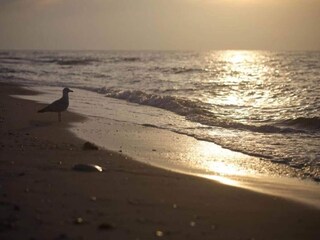 Holiday house Retschow Environment 32