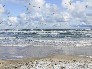 Casa per le vacanze Retschow Ambiente 34