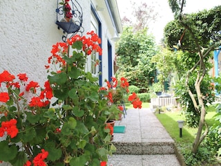 Bungalow Damshagen Buitenaudio-opname 6