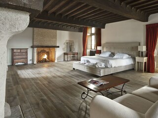 Castillo Bourg-de-Visa Características 16