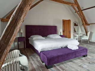 Castello Bourg-de-Visa Caratteristiche 21