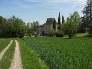 Schloss Castillo en Nouvelle-Aquitaine con piscina y vistas