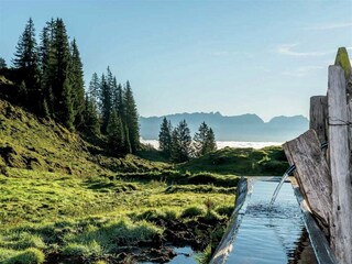 Appartamento Piesendorf Ambiente 23