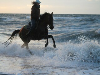 Appartamento Retschow  52