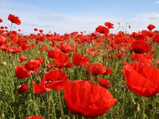 Appartamento Retschow Ambiente 28