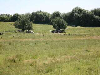 Vakantiehuis Bastogne Omgeving 34