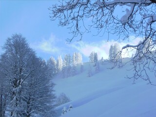 Vakantiehuis Waidring Omgeving 30