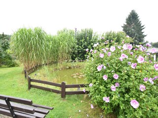 Bungaló Steffenshagen Grabación al aire libre 4