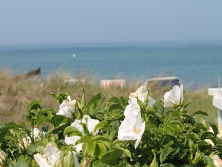 Bungalow Steffenshagen Ambiente 21