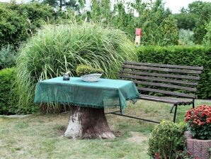 Mooi appartement in Proseken met een tuin - Gagelow - image1