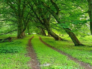 Appartamento Gägelow Ambiente 28