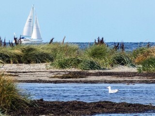 Maison de vacances Stein bei Laboe  16