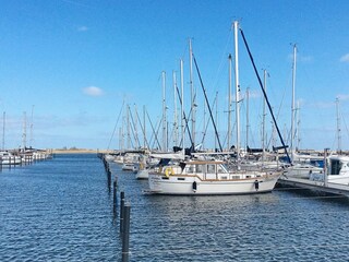 Casa per le vacanze Stein bei Laboe Registrazione all'aperto 3