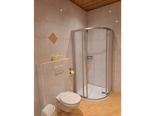 Appartamento per vacanze Hippach Caratteristiche 7