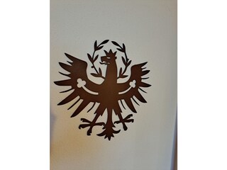 Appartamento per vacanze Hippach Caratteristiche 13