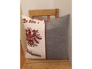 Appartamento per vacanze Hippach Caratteristiche 14