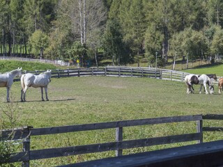 Appartamento per vacanze Reith bei Seefeld Ambiente 21