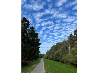 Waldweg zum Strand