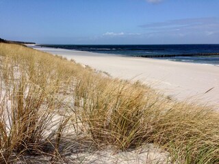 Zingst Beach