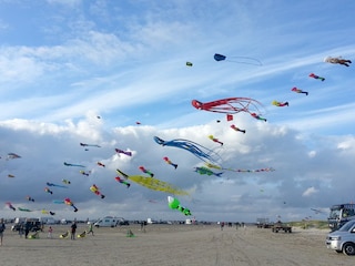 Ferienwohnung St. Peter-Ording Umgebung 26