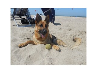 Casa per le vacanze Vlissingen Ambiente 24