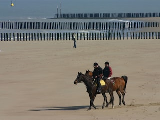 Vakantiehuis Cadzand-Bad Omgeving 10