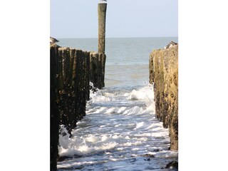 Vakantiehuis Cadzand-Bad Omgeving 11