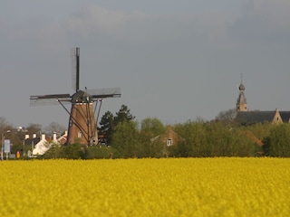 Vakantiehuis Cadzand-Bad Omgeving 13