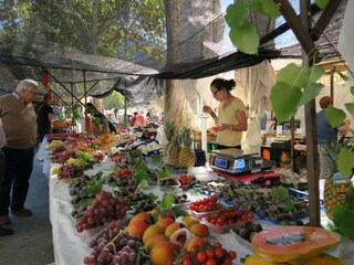 Type de propriété : Chalet Pollensa Environnement 43