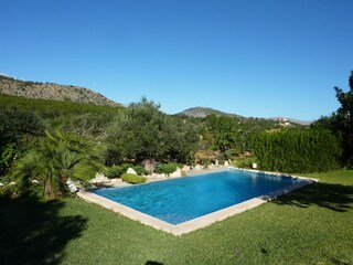 garden with pool