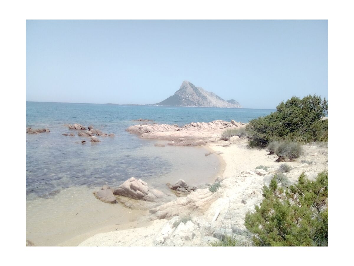 Ferienhaus Wellnessvilla VISTA MARE, San Teodoro, Familie F Federico