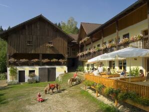 Ferienwohnung Taubenschlag - Saldenburg - image1