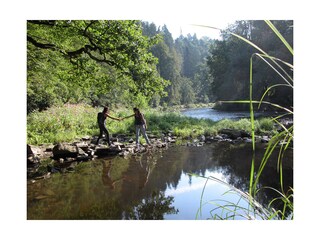 Wandern an der Ilz