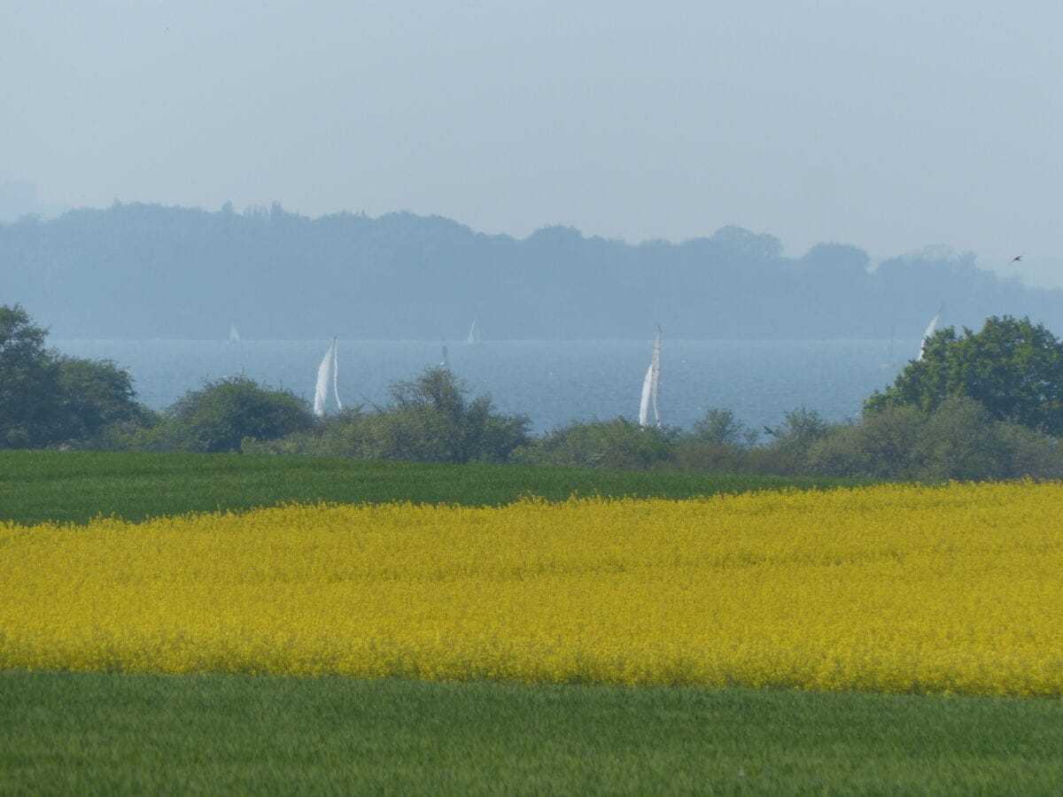 Blick auf die Lübecker Bucht