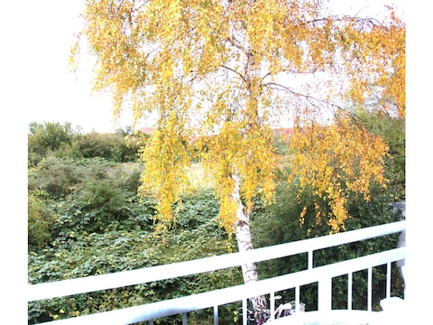 Ferienwohnung Frühauf