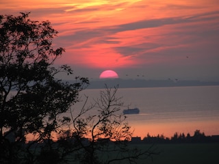 Jasmunder Bodden