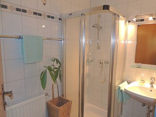 Appartamento per vacanze Filzmoos Caratteristiche 22