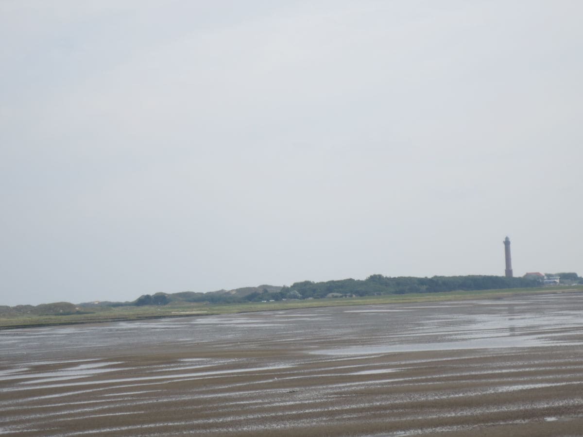 Watt mit Blick auf den Leuchtturm