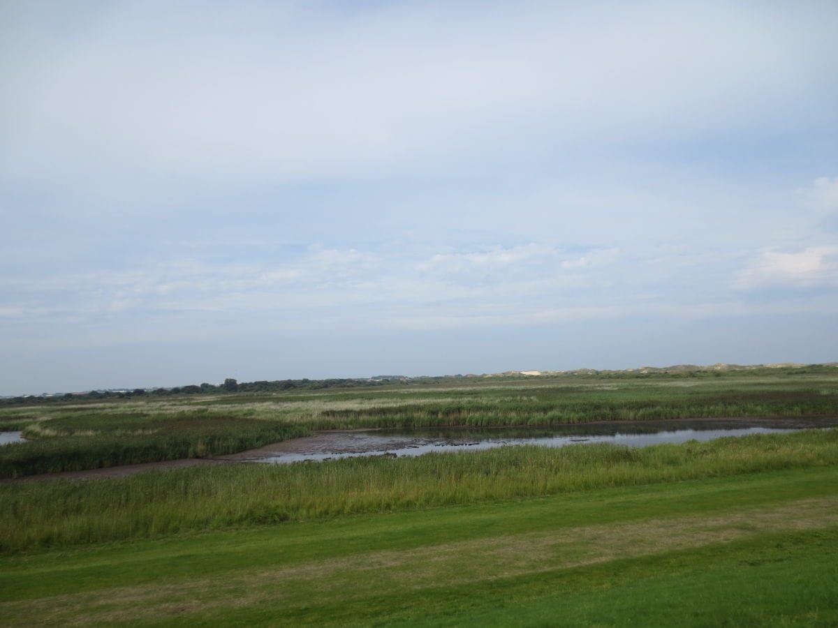 Hinterland Norderney