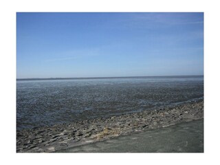 Das Wattenmeer