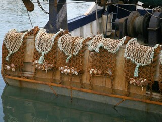 Pêche de la Coquille St. Jaques