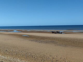 Strand von Colleville-sur-mer