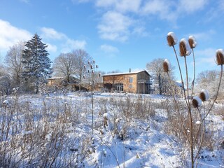 Cottage Nordwestuckermark Environment 31