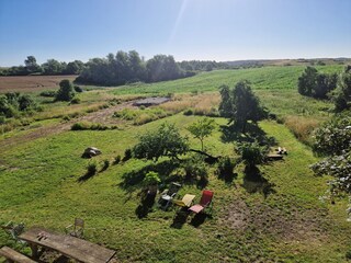Garden with big table and barbecue area