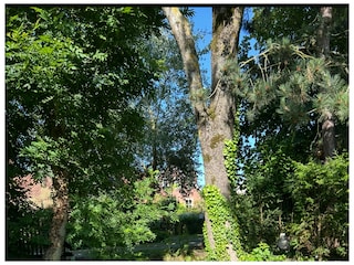 Ferienwohnung Loquard Außenaufnahme 6