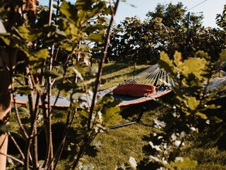 Vakantiehuis Straß in Steiermark Buitenaudio-opname 14