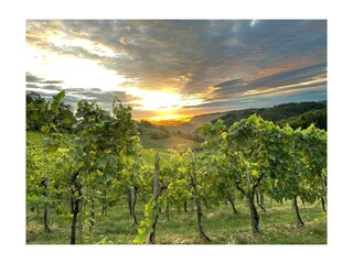 Casa per le vacanze Straß in Steiermark Registrazione all'aperto 7