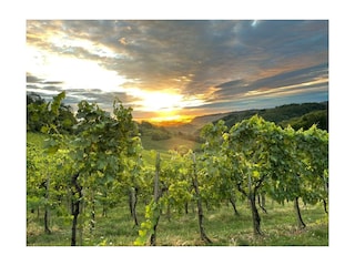 Ferienhaus Straß in Steiermark Außenaufnahme 8