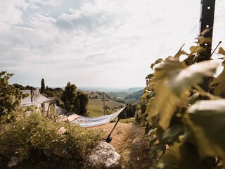 Vakantiehuis Straß in Steiermark Document 42