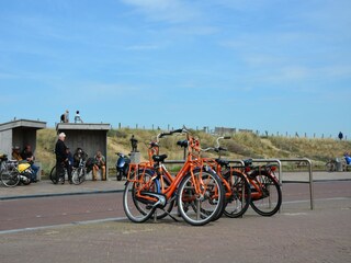 Bungalow Holland Environnement 21